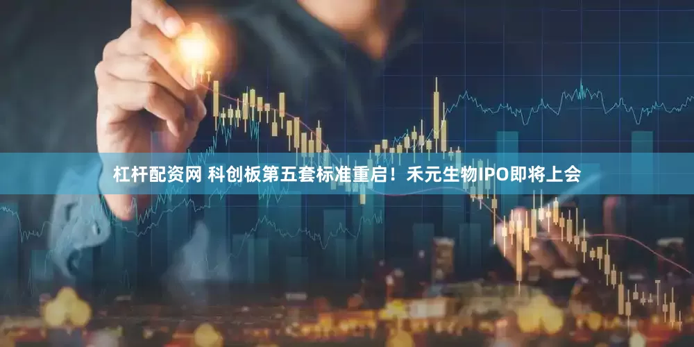 杠杆配资网 科创板第五套标准重启！禾元生物IPO即将上会