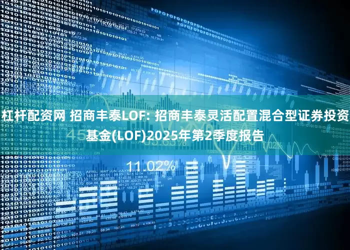 杠杆配资网 招商丰泰LOF: 招商丰泰灵活配置混合型证券投资基金(LOF)2025年第2季度报告